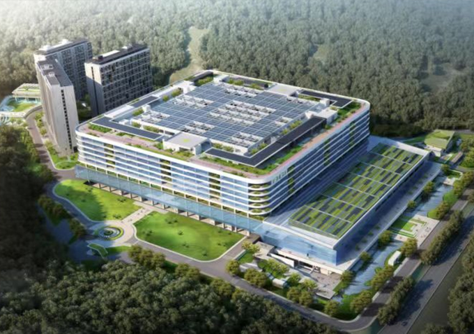 【優(yōu)質結構工程獎】華大基因項目樁基礎工程